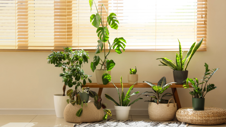 The Benefits of Greenery in Modern Dubai Living Spaces